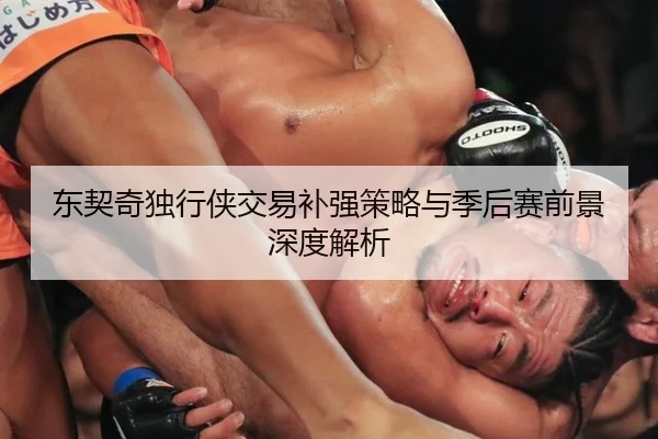 东契奇独行侠交易补强策略与季后赛前景深度解析