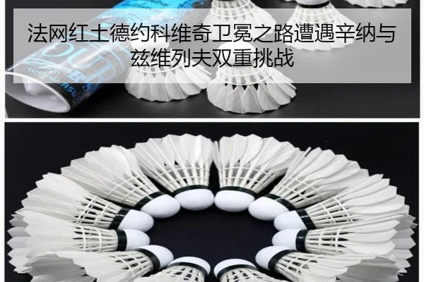 fa-wang-hong-tu-de-yue-ke-wei-qi-wei-mian-zhi-lu-zao-yu-xin-na-yu-zi-wei-lie-fu-shuang-chong-tiao-zhan-3-759.jpg