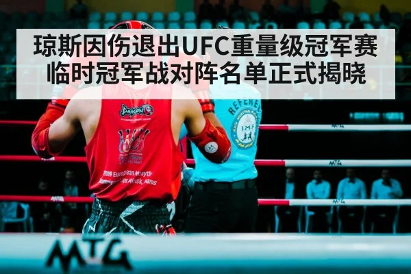 琼斯因伤退出UFC重量级冠军赛 临时冠军战对阵名单正式揭晓